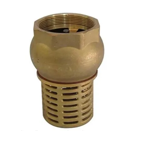 Valvola fondo ottone - 2" - c/ritegno