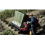 Motocarriola carrello honda - hp 500 bx - cassone tradizionale