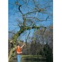 Tagliarami svettatoio fiskars - up-86 asta lunga - c/seghetto