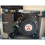 Generatore zanetti - zbg 4500 ie - compatto - potente