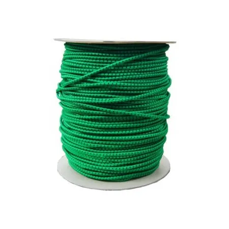 Corda elastica - mm.10 -