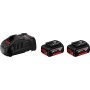 Batterie 2 pz-5ah + caricatore - gal 1880 cv 18v - 