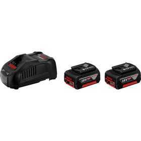 Batterie 2 pz-5ah + caricatore - gal 1880 cv 18v - 