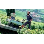 Motocarriola carrello honda - hp 500 bx - cassone tradizionale