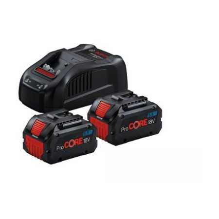 Batterie 2 pz-5,5ah+caricatore - gal 18v-40 -