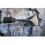 Scalpello sds-plus       bosch - spatola - 250 mm