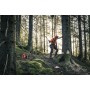 Motosega husqvarna 572 xp - barra 18" 3/8 - abbattimento