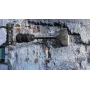 Scalpello sds max bosch - a spatola larga - 350x115