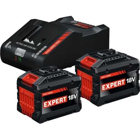 Starter set 15ah  bosch expert - 2 batterie 15ah - con caricatore