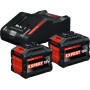 Starter set 15ah  bosch expert - 2 batterie 15ah - con caricatore