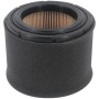 Filtro aria kawa rasaerba grin - x pm53/spm53 kw - tecno garden