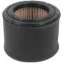 Filtro aria kawa rasaerba grin - x pm53/spm53 kw - tecno garden