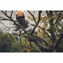 Potatore akku stihl gta40 - gta 40 - c/batteria