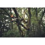 Motosega a batteria stihl - msa 190 t - professionale - sramatrice