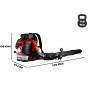 Husqvarna 580BTS Soffiatore a Spalla 40 N | Fershop