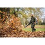 STIHL BR 800 C-E Soffiatore a Spalla 41 N | Fershop