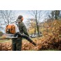 STIHL BR 800 C-E Soffiatore a Spalla 41 N | Fershop
