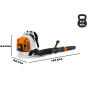STIHL BR 800 C-E Soffiatore a Spalla 41 N | Fershop