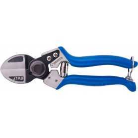 DEL VESCO NICOLA, foribce potatura A2/S